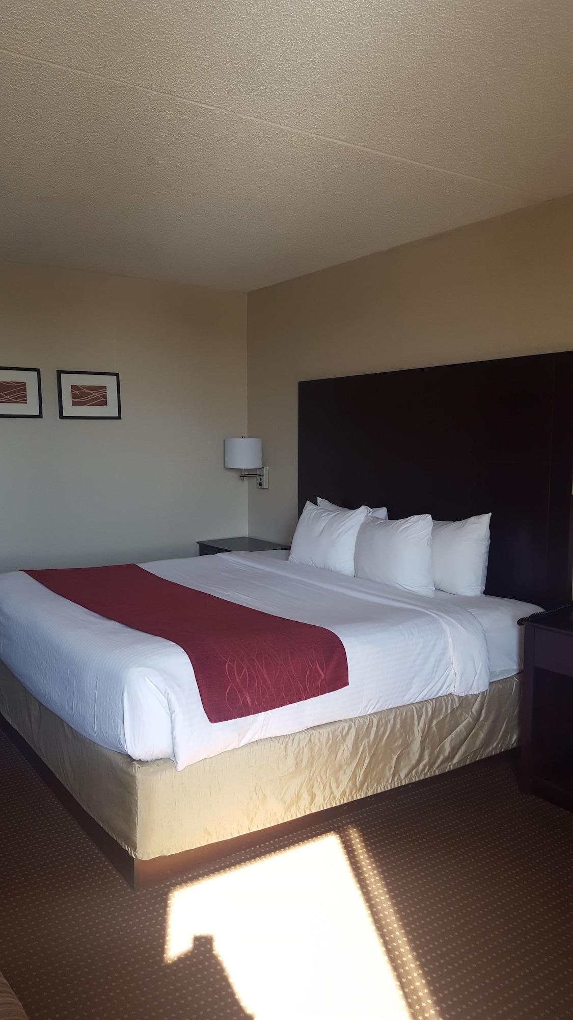Wingate By Wyndham Hotel Williamsburg