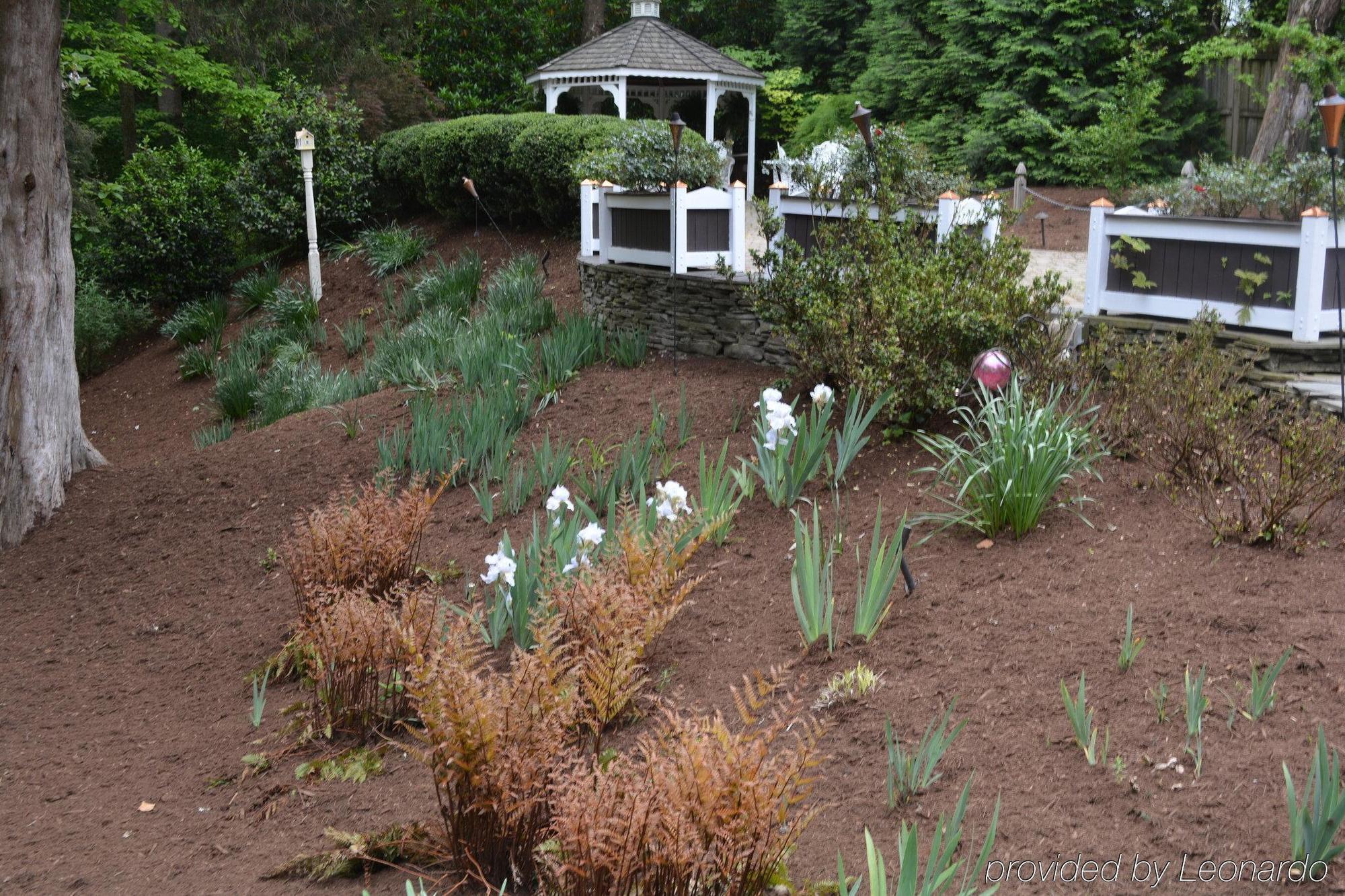 Cedars Of Bed & Breakfast
