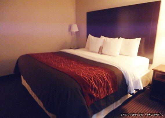 Hotel Wingate By Wyndham Williamsburg