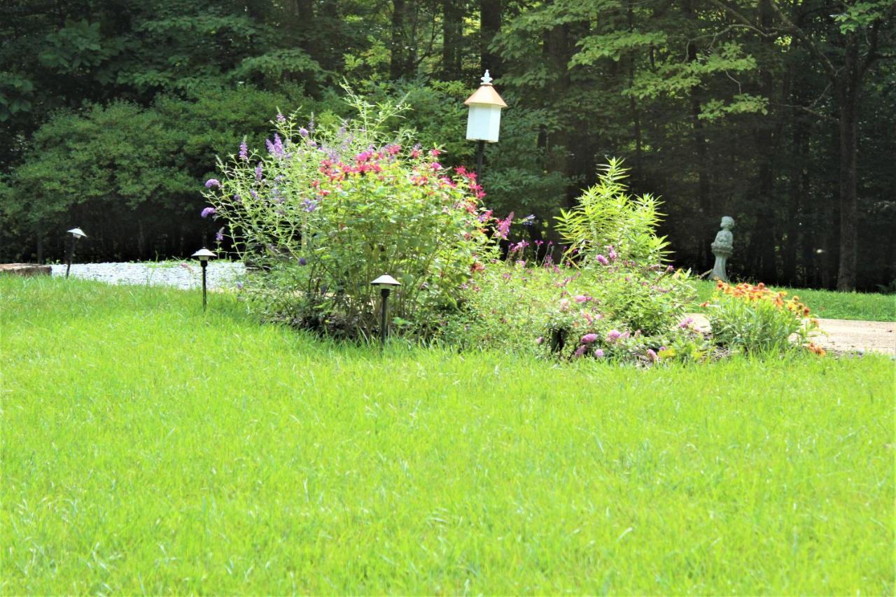 Bed & Breakfast The Serendipity