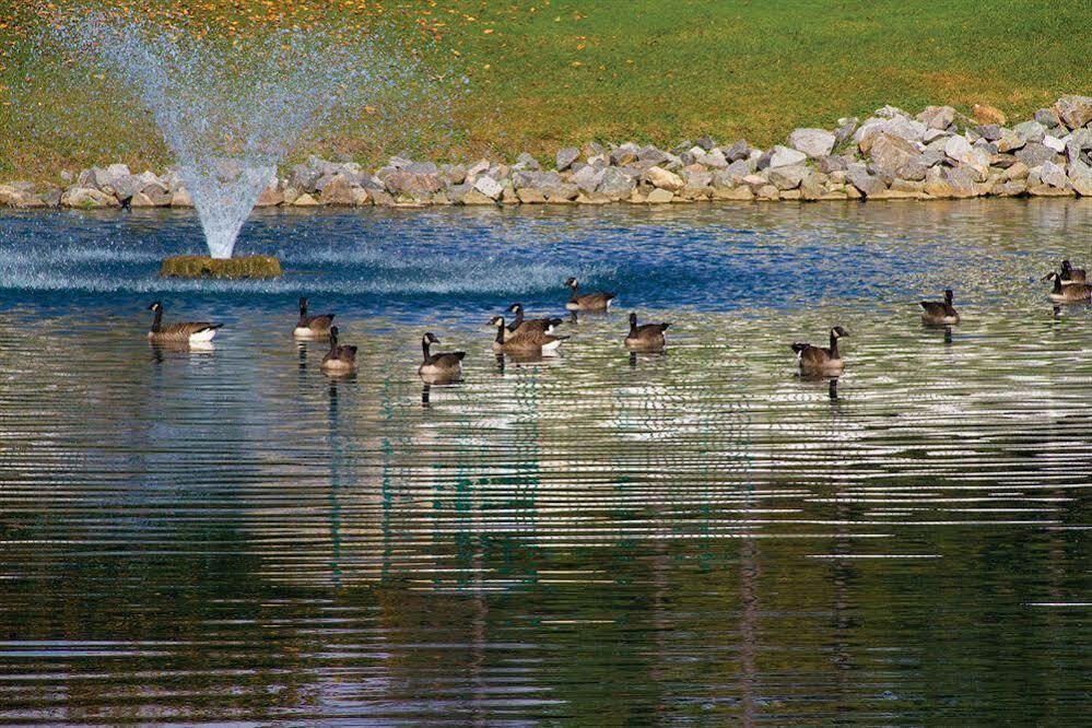 Resort Club Wyndham Patriots Place 3*